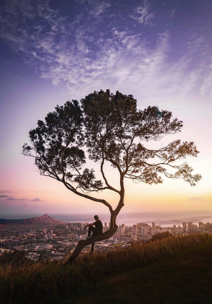 man sitting on tree branch